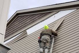 Best Siding Painting and Refinishing  in Elm Creek, NE